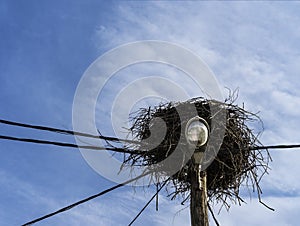 Abandoned storks nest on a wooden light pole