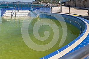 Abandoned swimming pool