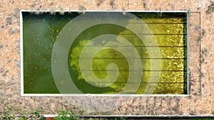 abandoned swimming pool with green dirty water