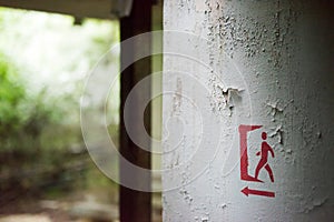 Abandoned swimming pool in Pripyat school