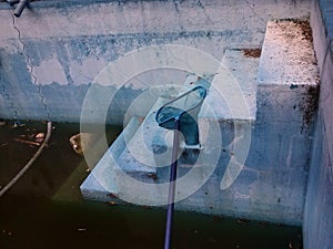 Abandoned swimming pool with standing water inside