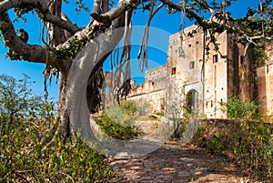 Abandoned Taragarh Fort India