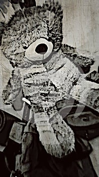 An abandoned Teddy Bear needs your hug.