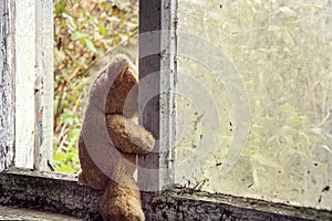 An abandoned teddy bear with reliable looks out the window of an abandoned house