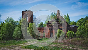 Abandoned temple, overgrown with trees.