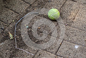 Abandoned tennis ball and a dry twig