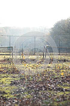 Abandoned overgrown tennis courts in Rijswijk (NL) photo