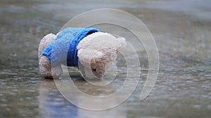 Abandoned toy bear in a puddle in the rain.