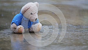 Abandoned toy bear in a puddle in the rain.