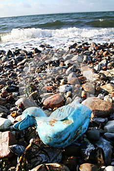 Abandoned toy duck on beach