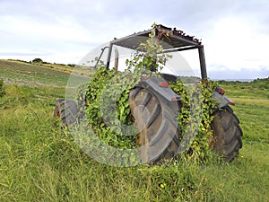 Abandoned tractor in field with vegetation rooted in its structure
