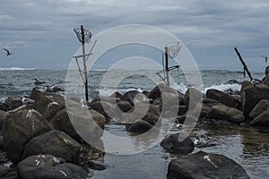 Abandoned traditional fishermen`s poles in Sri Lanka