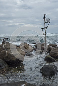 Abandoned traditional fishermen`s poles in Sri Lanka