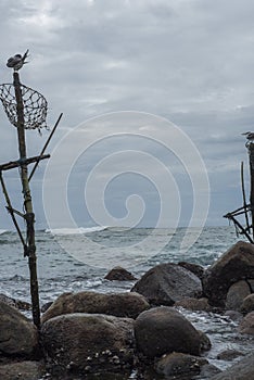 Abandoned traditional fishermen`s poles in Sri Lanka