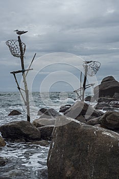 Abandoned traditional fishermen`s poles in Sri Lanka