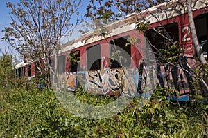 Abandoned train