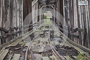 Abandoned Train Bridge Horizontal