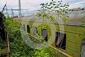 Abandoned train. Forgotten overgrown railway. Old rusty railway carriage