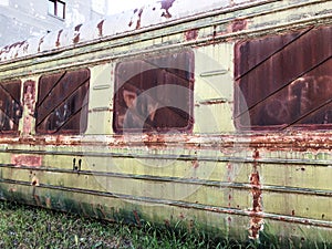 Abandoned train. Forgotten overgrown railway. Old rusty railway carriage