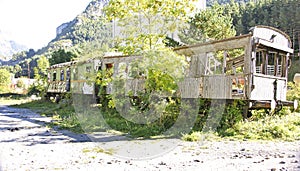 Abandoned train wagons destroyed by nature in the old Canfranc station, Huesca