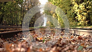 Abandoned tram railway in an exotic location in autumn