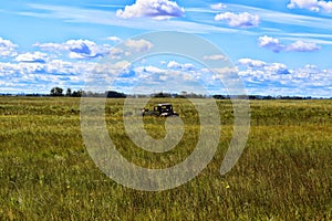 Abandoned Truck Body in a Pasture.