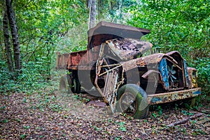 Abandoned truck in the jungle