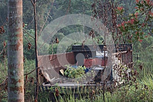 abandoned truck overgrown with vines, grass and trees