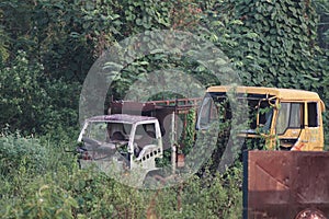 abandoned truck overgrown with vines, grass and trees