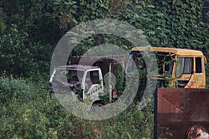 abandoned truck overgrown with vines, grass and trees