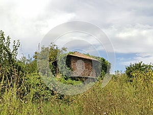 Abandoned unfinished house between trees and grass and sky