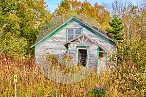 Abandoned urban single room home with crocked front portal door in thick overgrown forest field