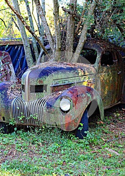 Abandoned vehicles on a farm in Georgia