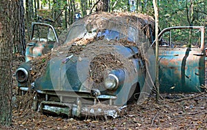 Abandoned vehicles on a farm in Georgia