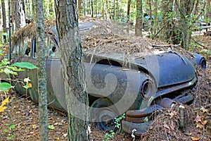 Abandoned vehicles on a farm in Georgia