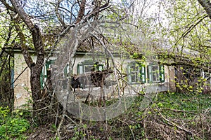 Abandoned village in Chernobyl