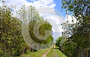 Abandoned village in the Chernobyl zone. Belarus