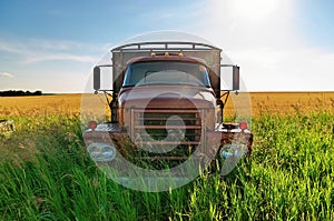 Abandoned Vintage and Rusty Truck in a Field on a Sunny Day