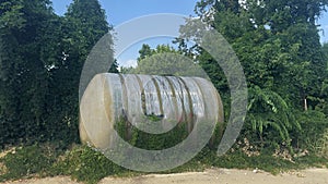 Abandoned watertank covered in plants