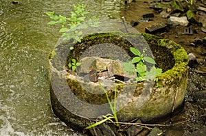 Abandoned well liner in the river