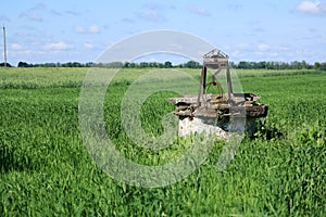 An abandoned well in the middle of a wheat field.