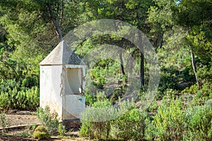 Abandoned well in pine forest in the Murcia region. Spain