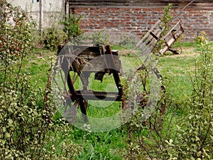 Abandoned wheel chair photo