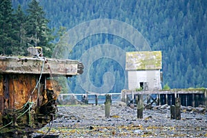 Abandoned in the wilderness