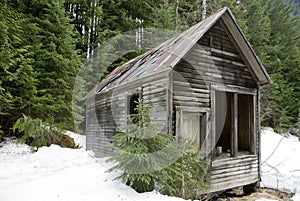 Abandoned Wilderness Cabin