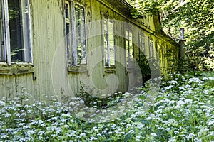 Abandoned wooden house