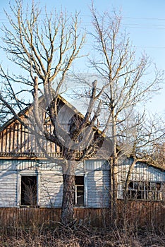 Abandoned wooden house in a dead village in the Chernobyl exclusion zone