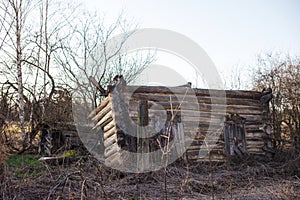 Abandoned wooden house in a dead village in the Chernobyl exclusion zone