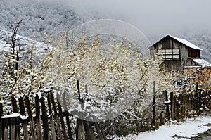 Abandoned wooden house with old broken fence in winter, Armenia