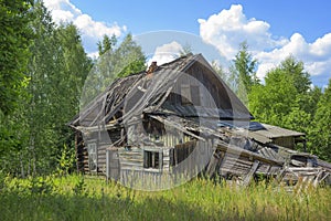 Abandoned wooden old house, desolation and ruin, an old village house among trees In  fores